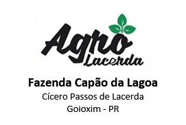 Logo Cliente AgroLacerda