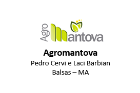 Logo Cliente Agromantova