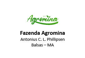 Logo Cliente Agromina