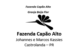 Logo Cliente Castrolandia