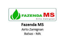 Logo Cliente Fazenda MS