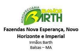 Logo Cliente IrmaosBarth