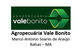 Logo Cliente ValeBonito