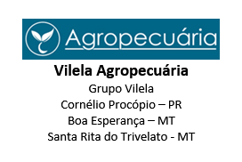 Logo Cliente Vilela