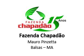Logo Cliente Chapadão